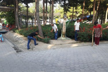 asu_image
